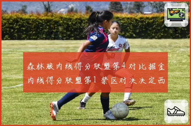 森林狼内线得分联盟第4 对比掘金内线得分联盟第1 禁区对决决定西部走势