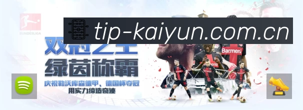 开云APP 封面图